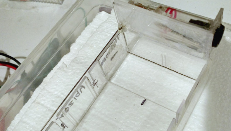 Gel19.jpg