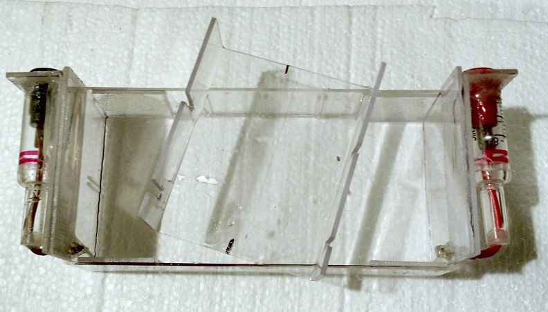 Gel20.jpg