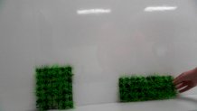 GetAttachment.aspxgt.jpeg
