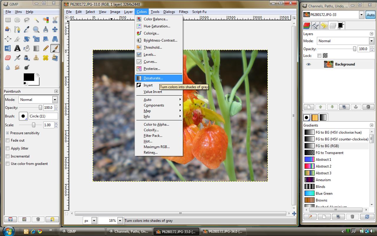 Gimp Desaturate.jpg