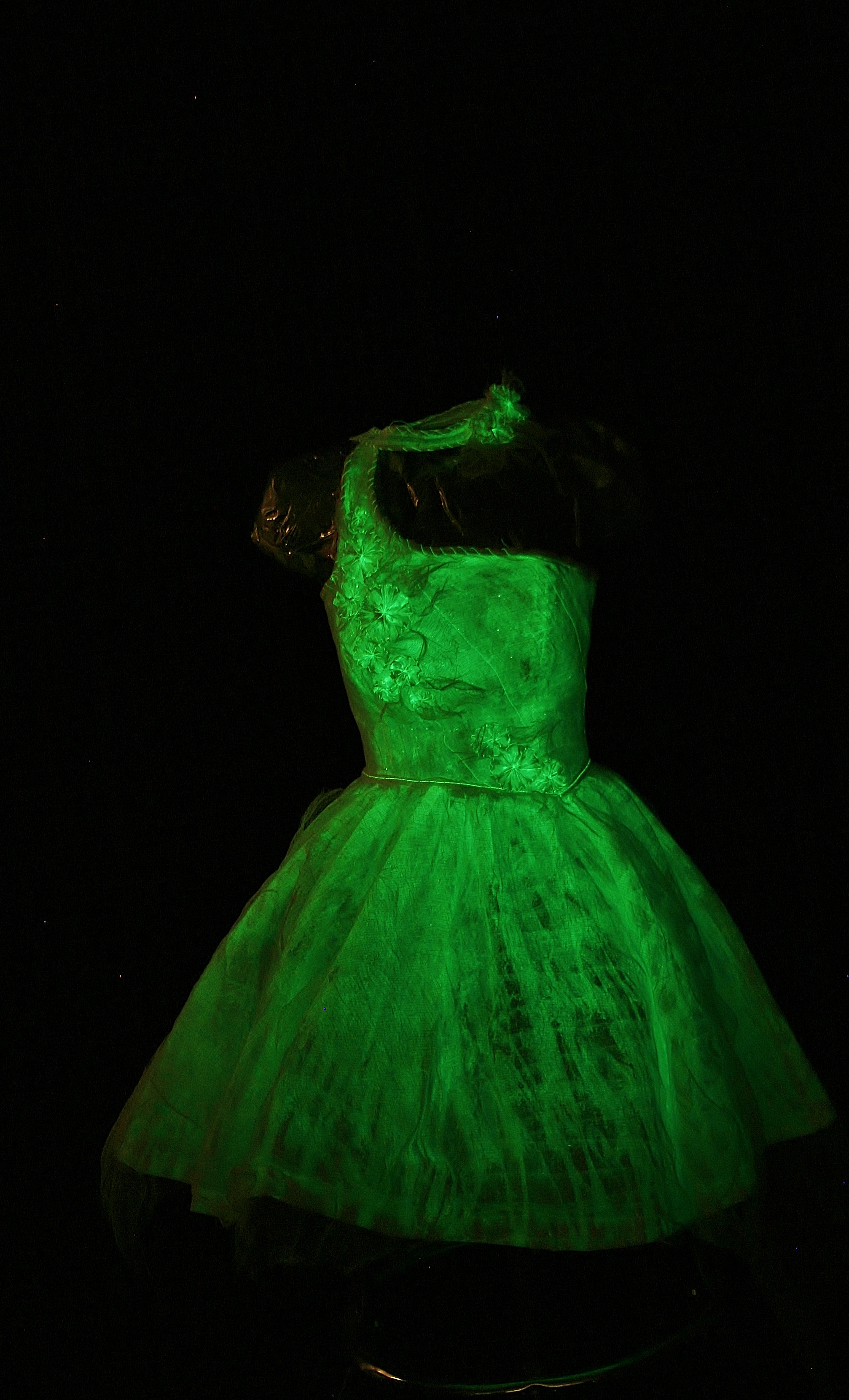 Glow in the dark dress.jpg