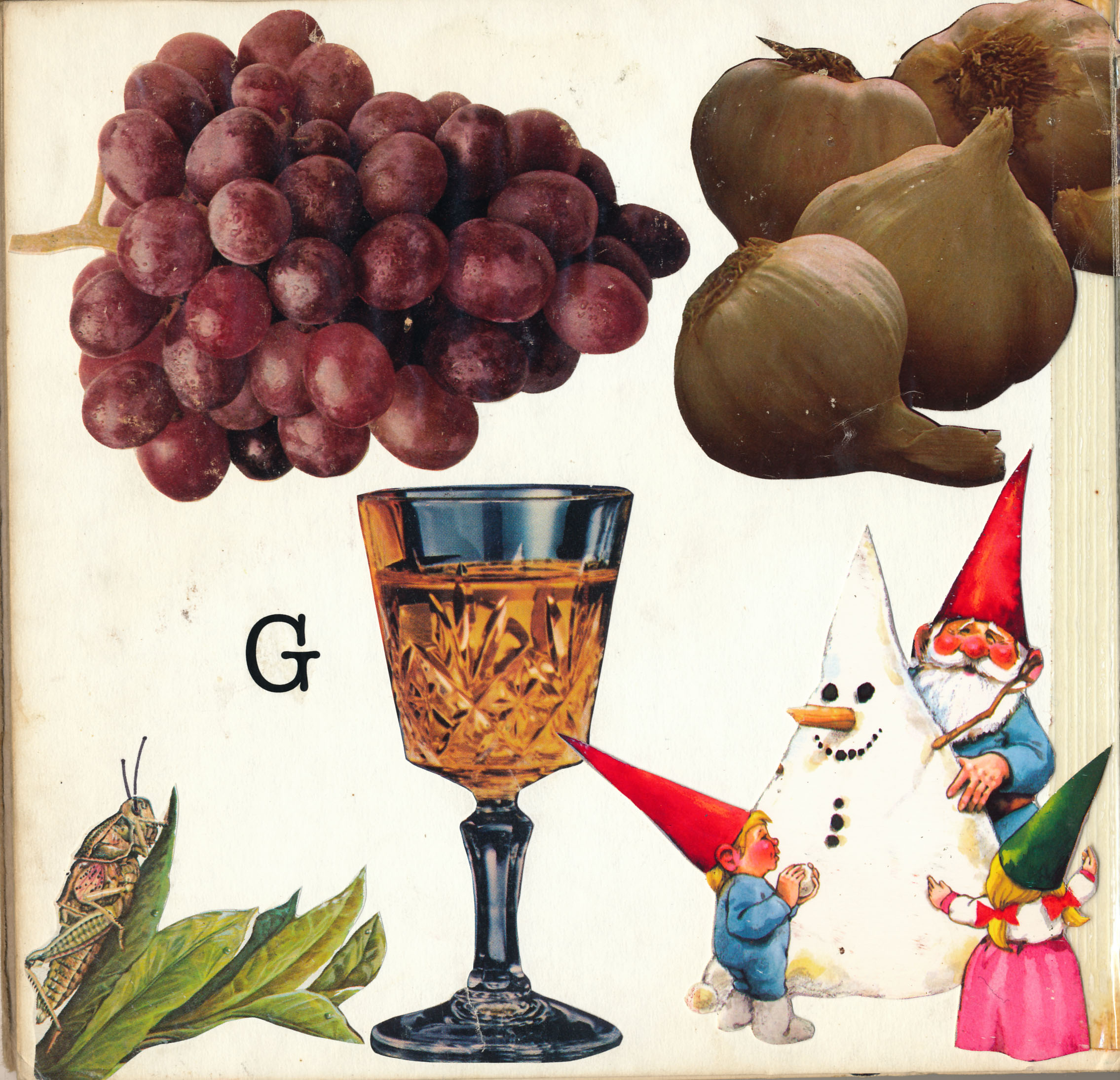 Gnomes.jpg