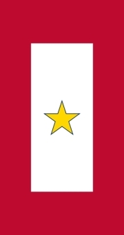 Gold_Star_Service_Bannersmall.jpg