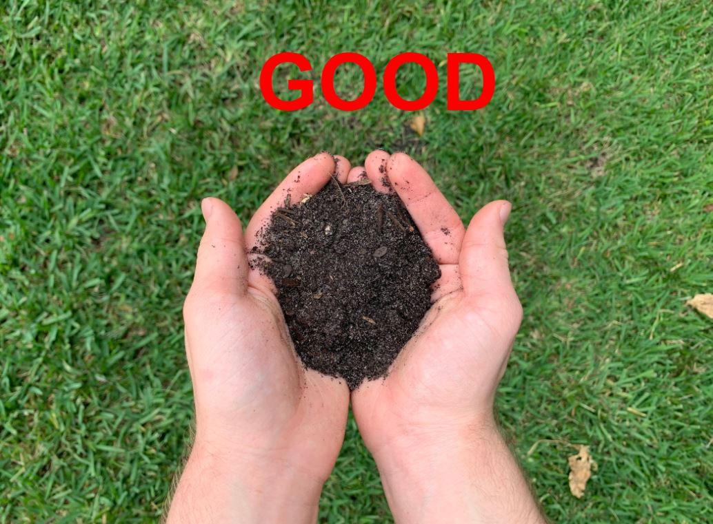 GoodSoil.JPG