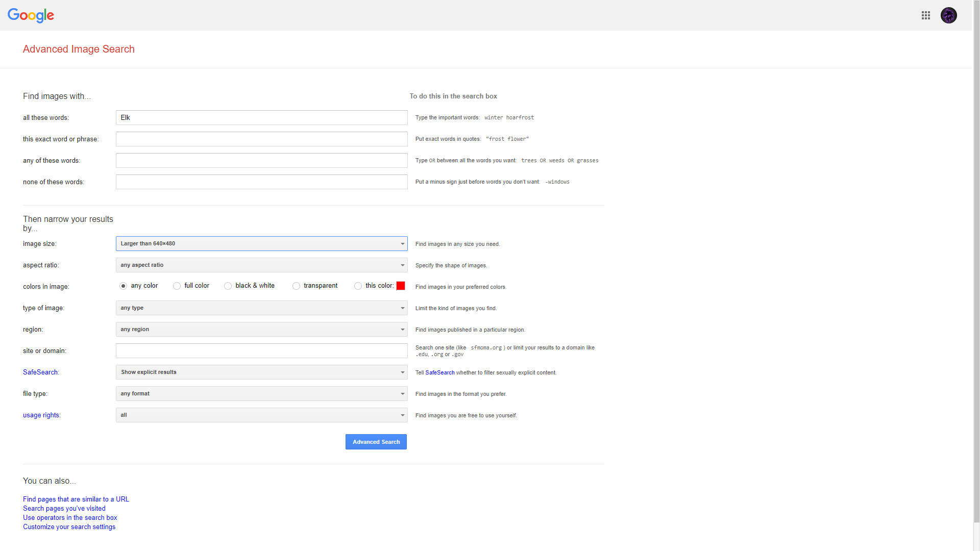 Google Advanced Image Search - Google Chrome 3_21_2021 11_42_49 AM.png
