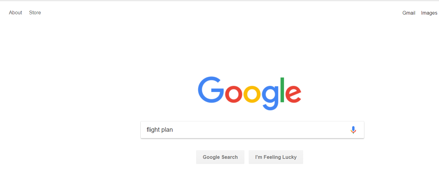 Google Search (Flight Plan).png