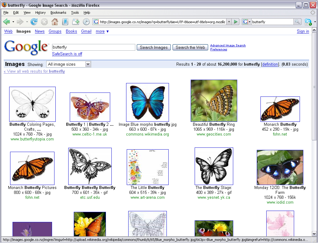 Google butterfly.jpg