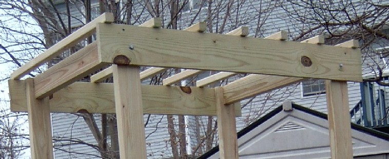 Grape arbor top.jpg