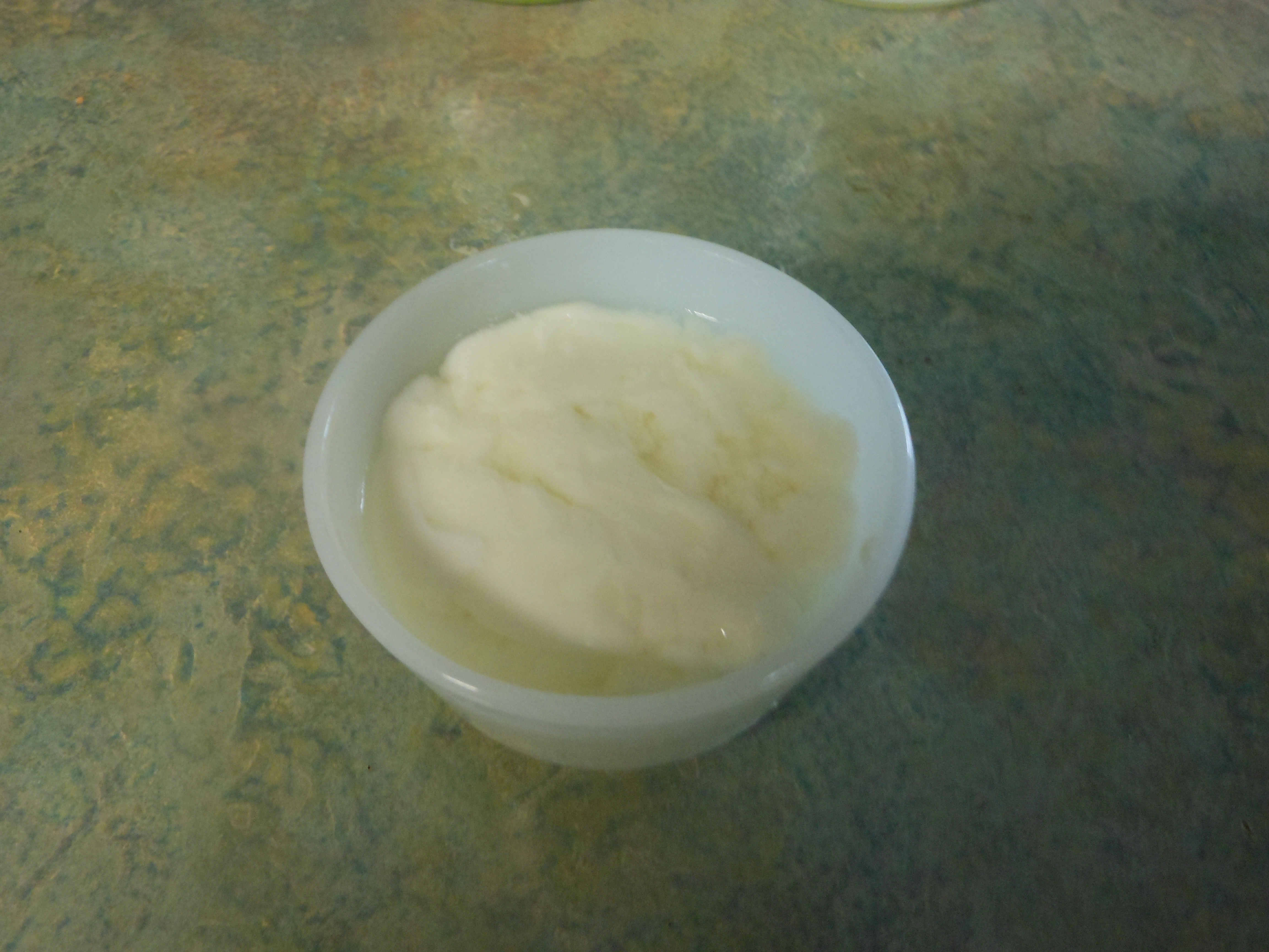 Greek Yogurt 14.JPG
