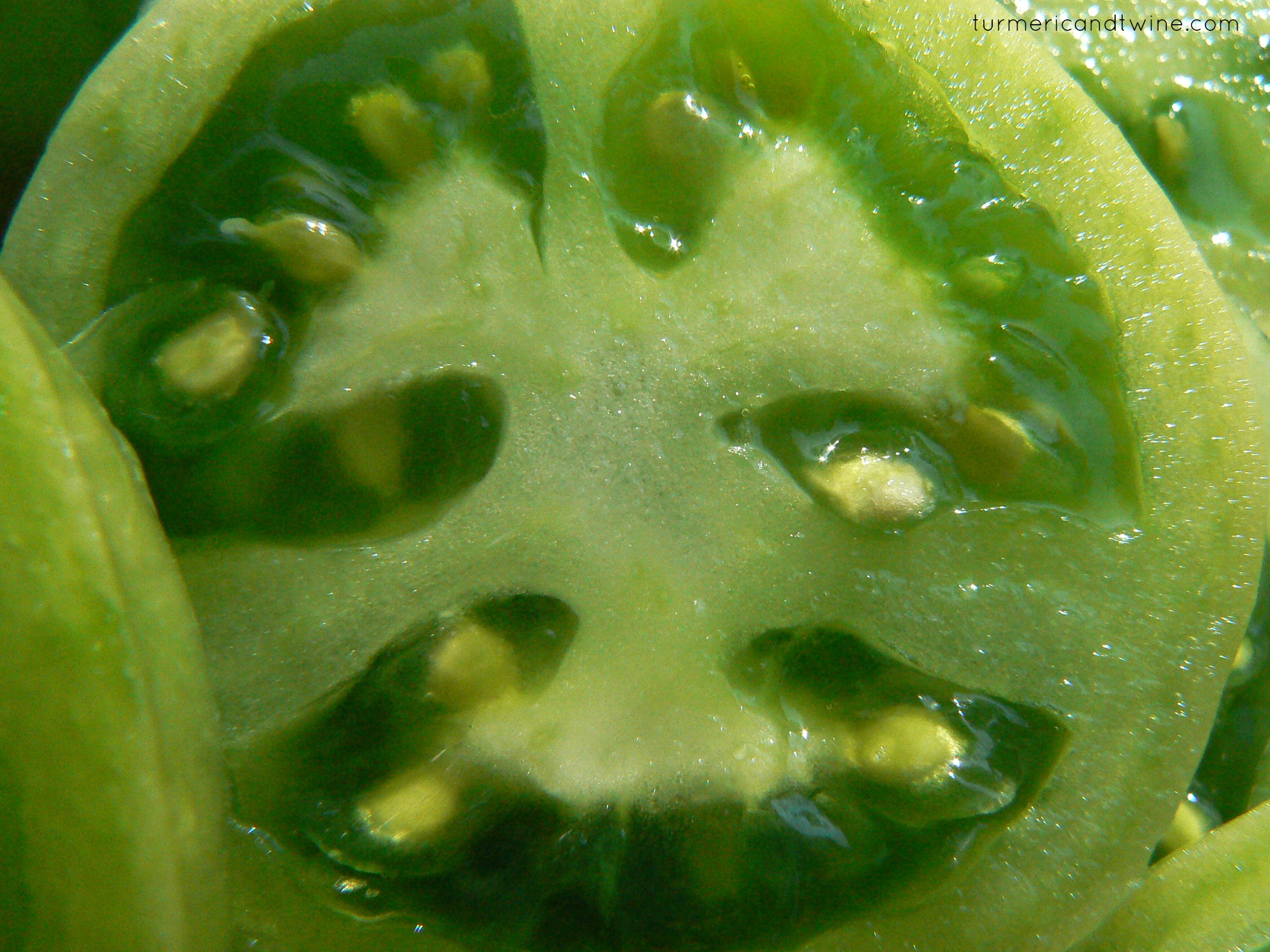 Green tomato slice.jpg