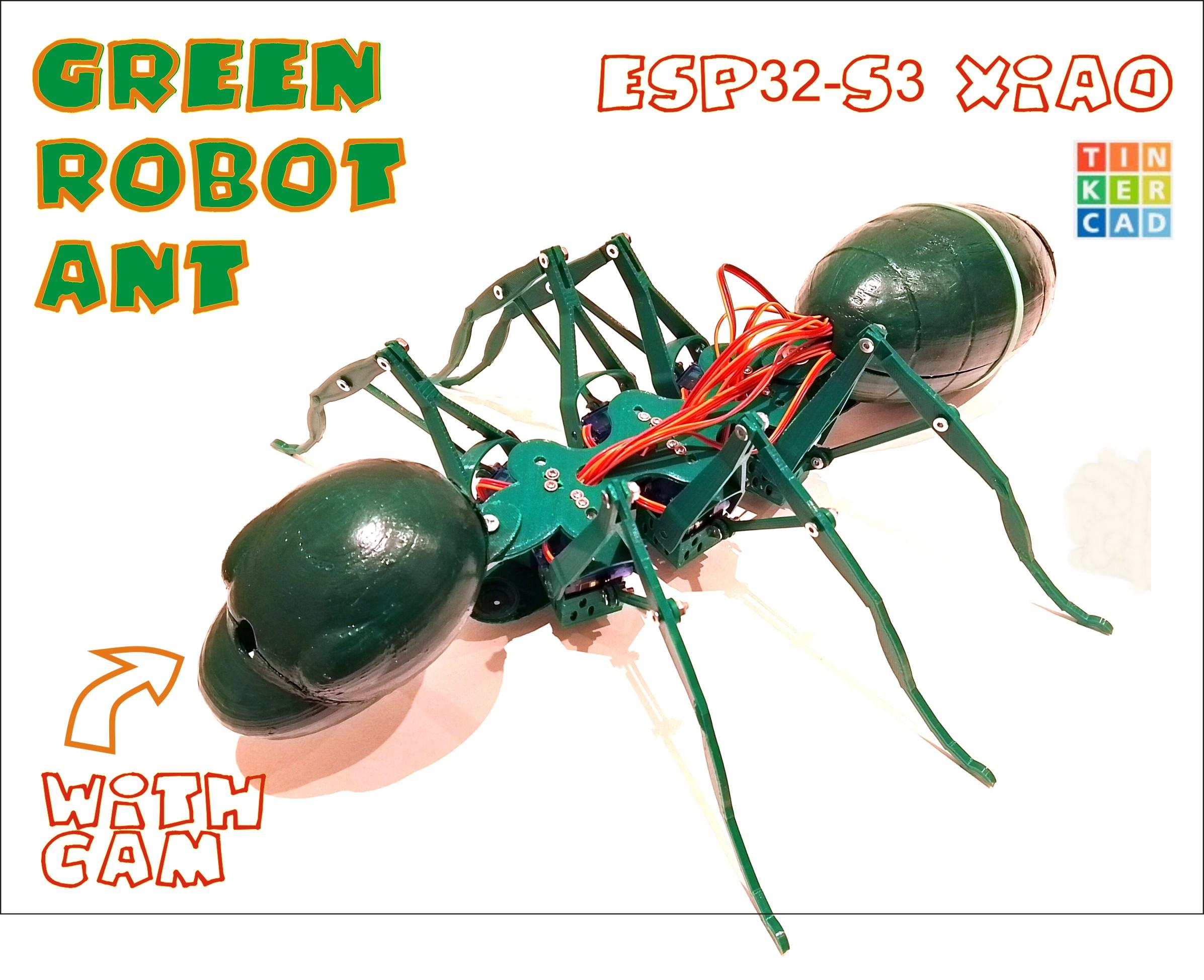 Green-Ant_Title2.jpg