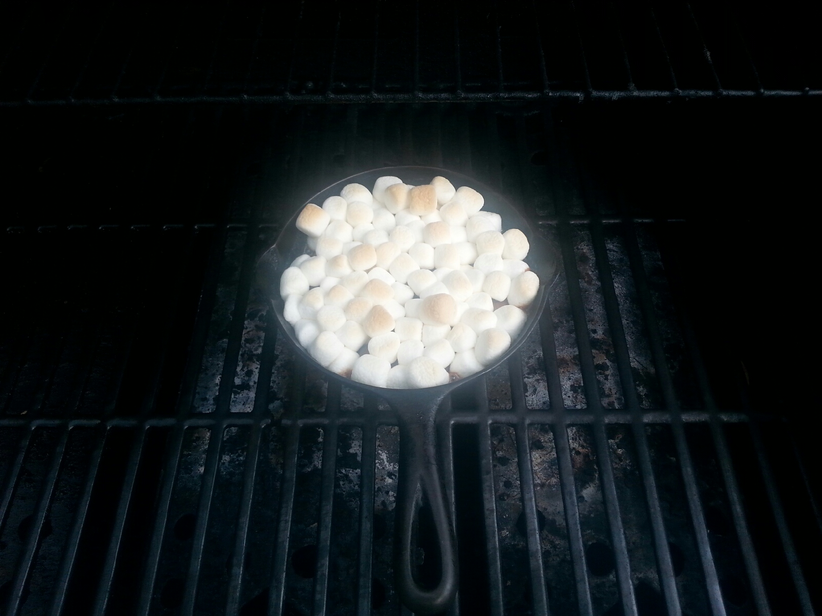 Grilled_Reese-s_Smores_on_Grill.jpeg