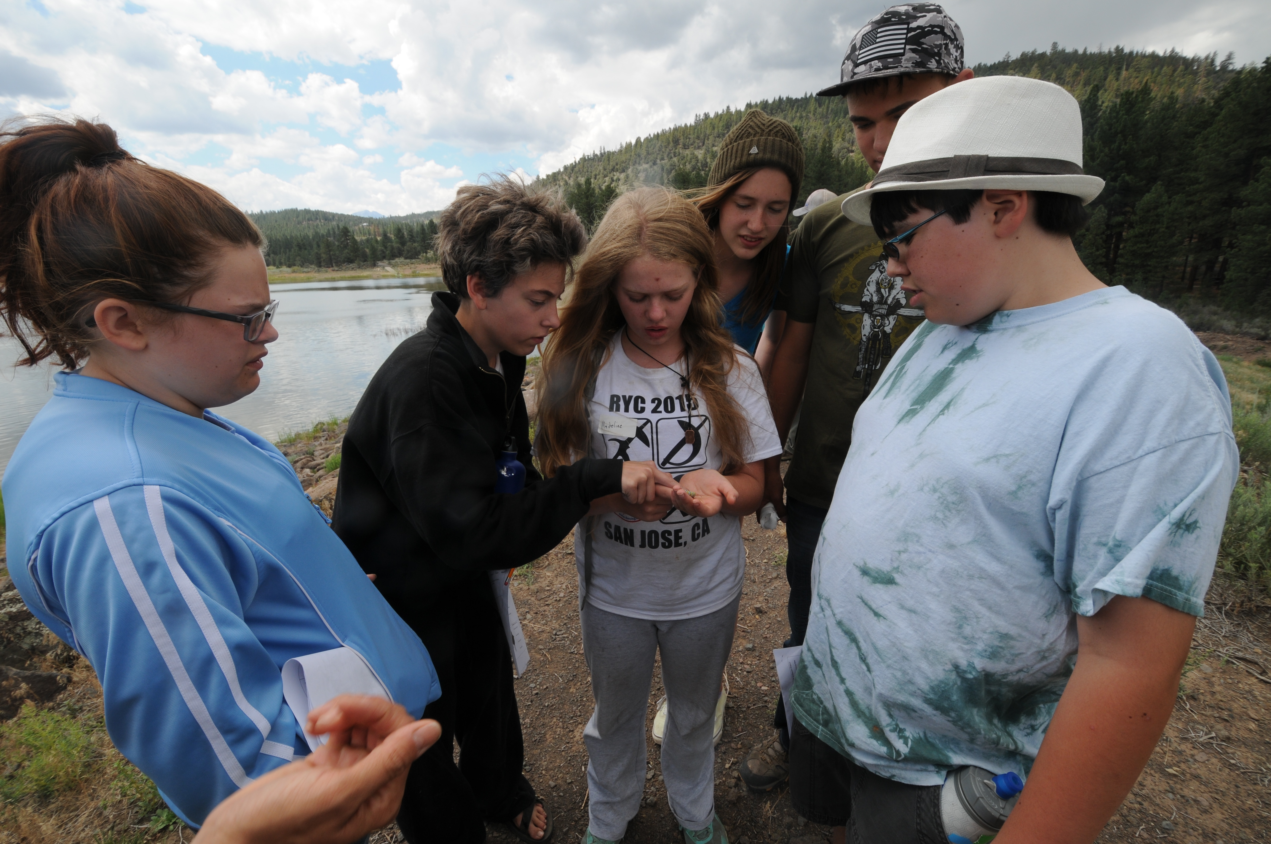 Group of campers examining monarch catepillar.JPG