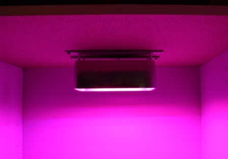 Grow Light On.jpg