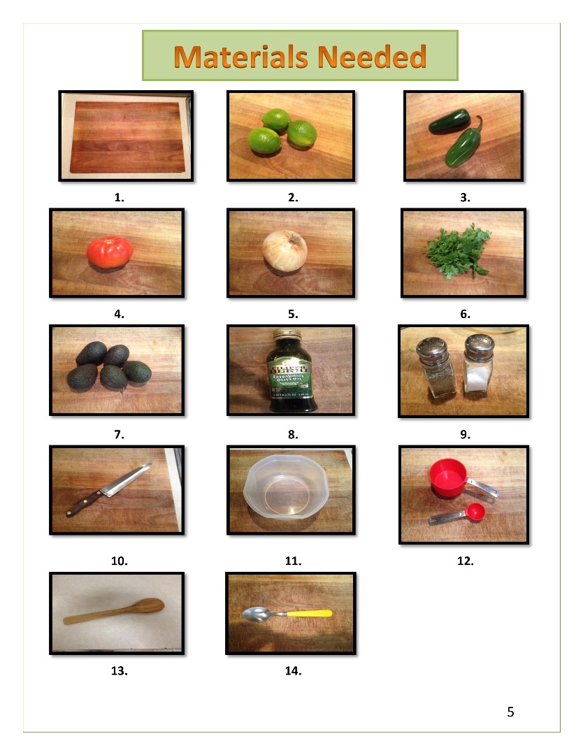 Guacamole Instruction Manual Final-page-005.jpg