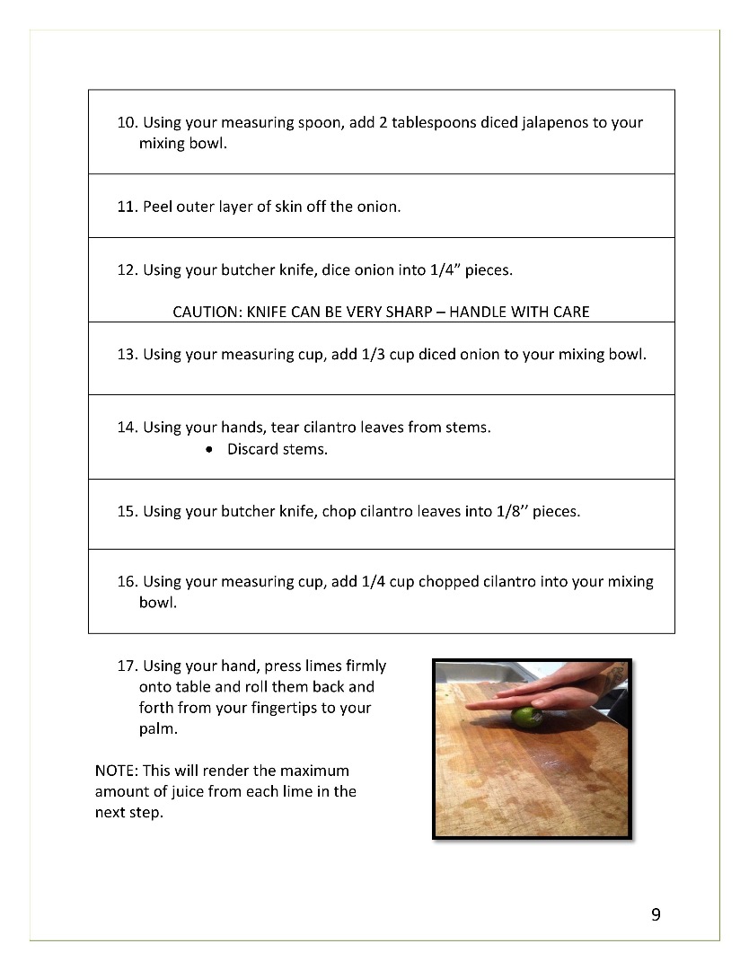 Guacamole Instruction Manual Final-page-009.jpg