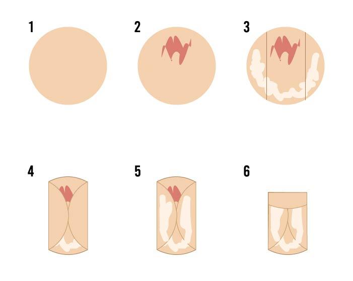 Guia de folding.jpg