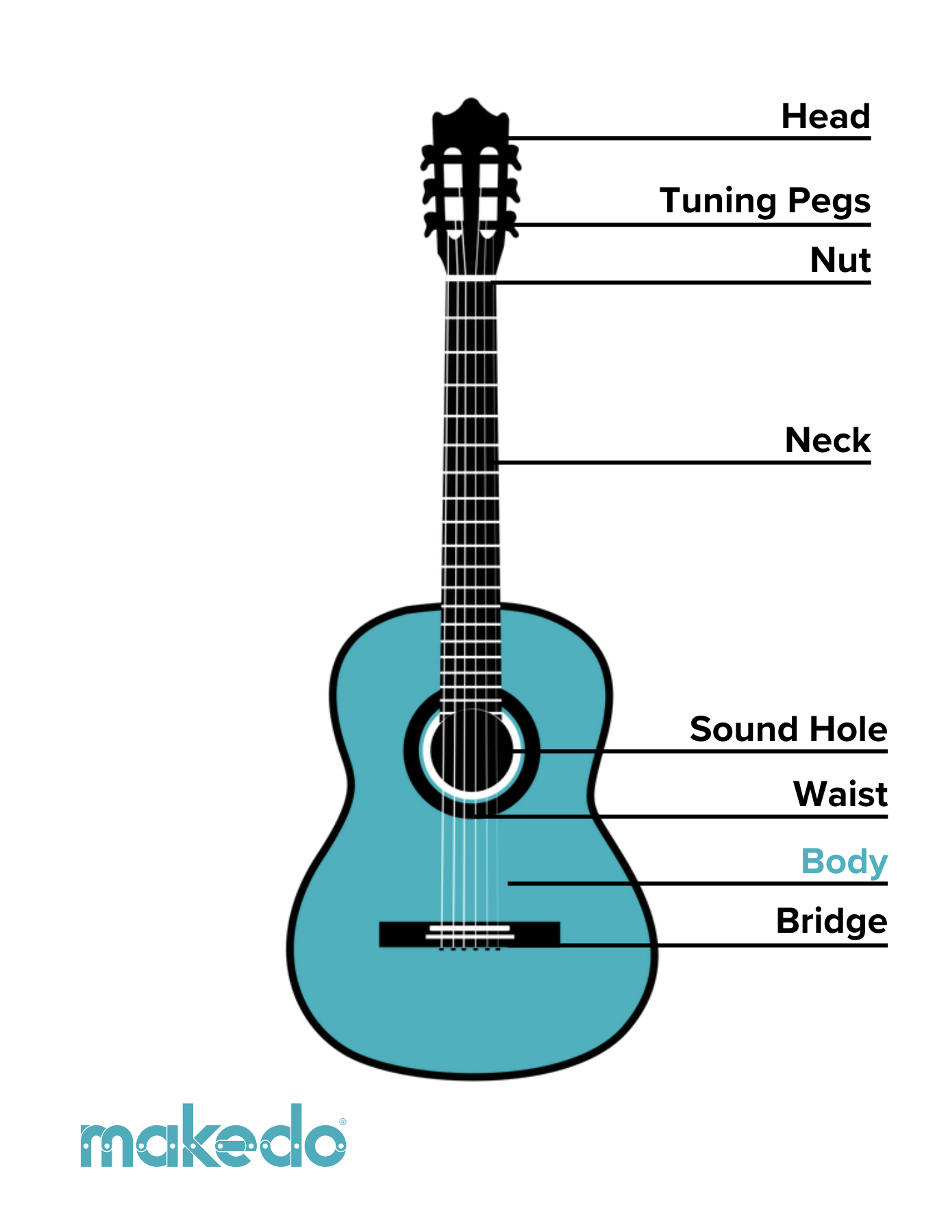 Guitar Anatomy.png