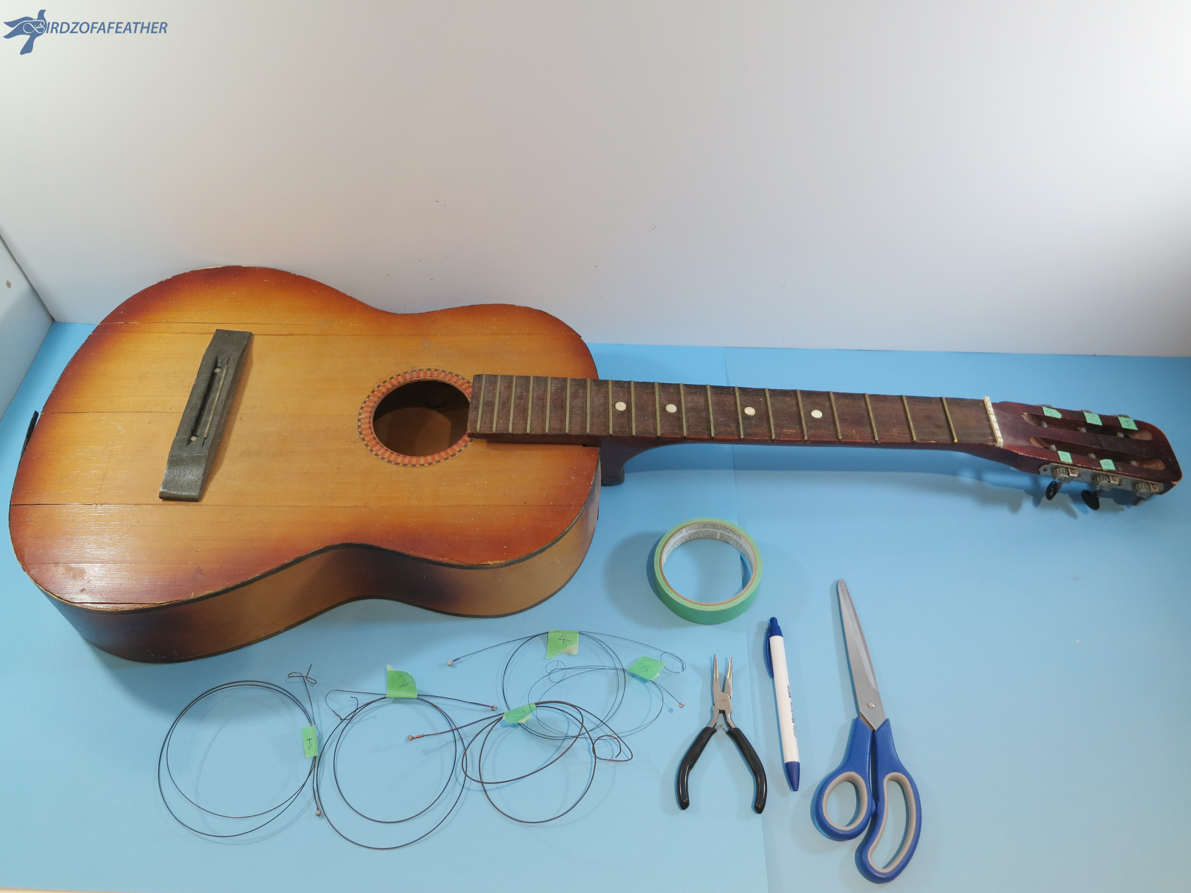 Guitar Planter 066_BOF.jpg