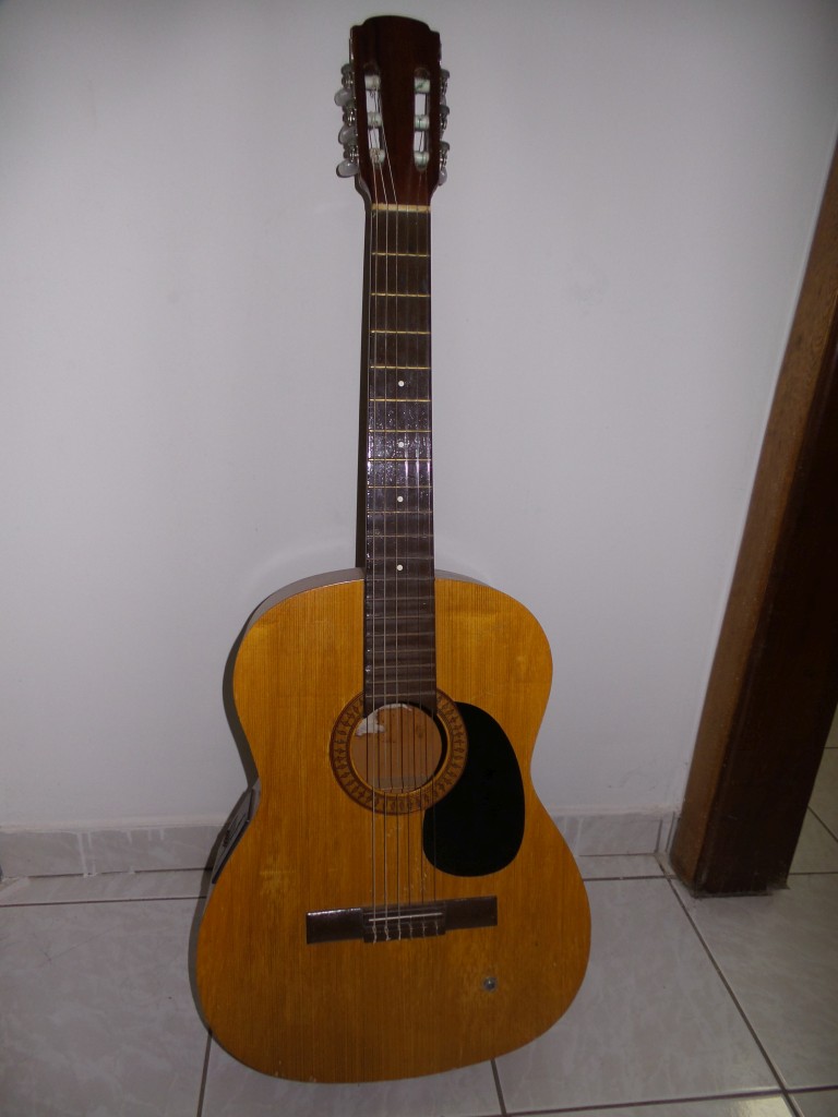 GuitarShelf_CavanhaMan_01.jpg