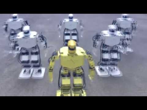 H3S humanoid robot