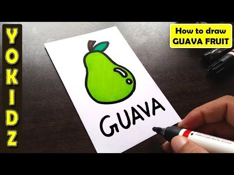 HOW TO DRAW GUAVA EASY - Speed Drawing