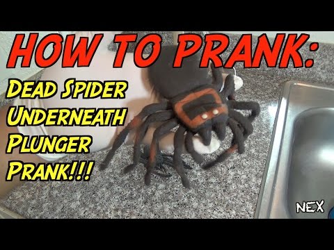 HOW TO PRANK: Dead Spider Underneath Plunger- Freaking Creepy!