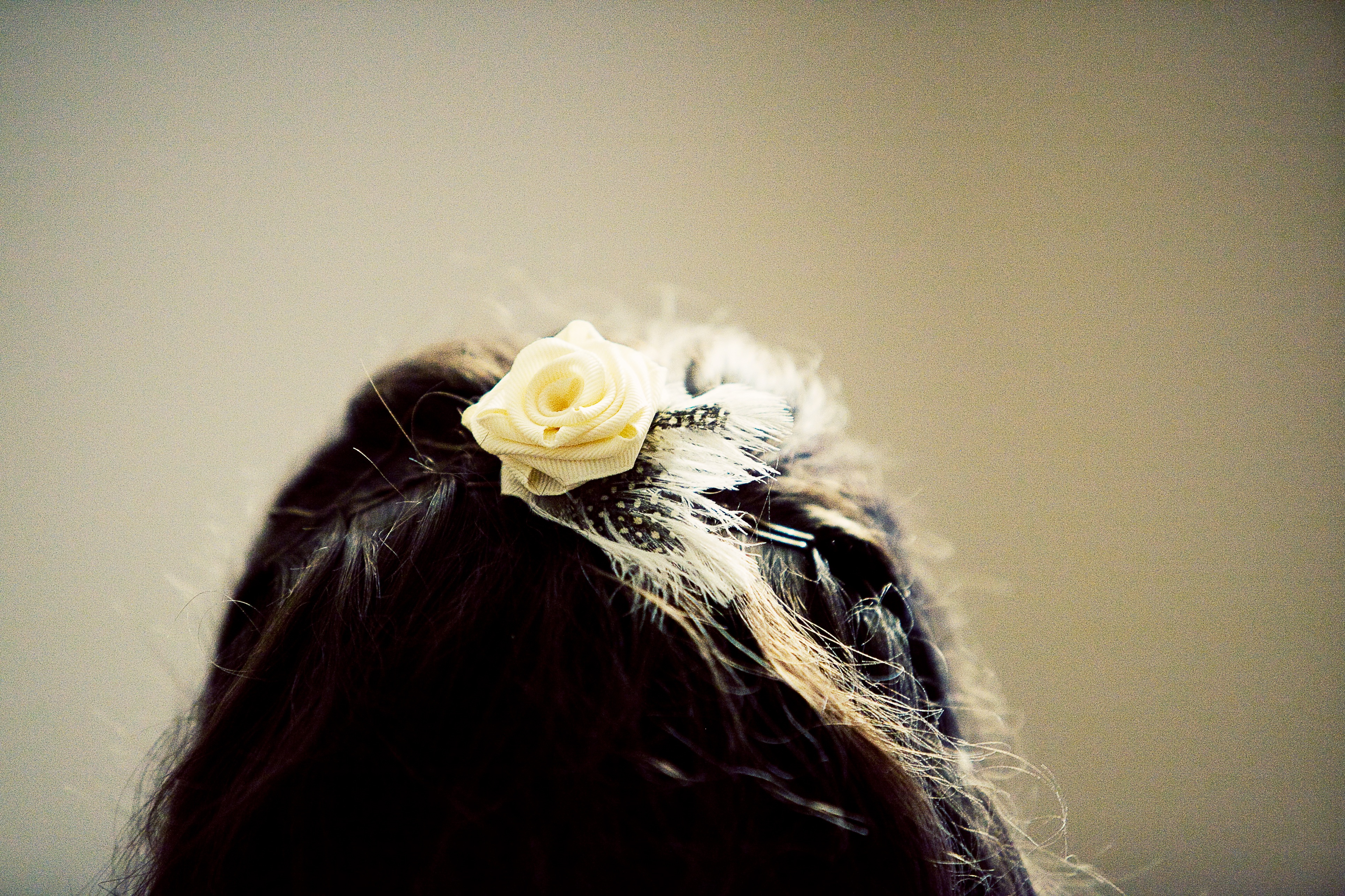 Hair Clip 3.jpg