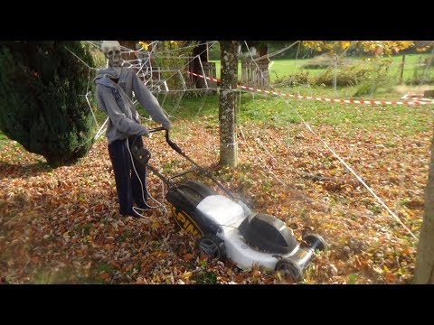 Halloween Prop: Creepy Animatronic Skull