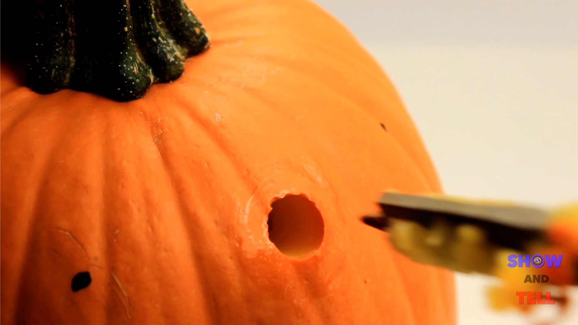 Halloween Pumpkin Carving 3:8 Paddle Bit 3.jpg