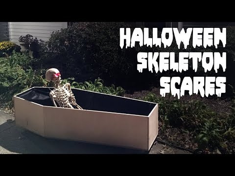 Halloween Skeleton Scares (2018)