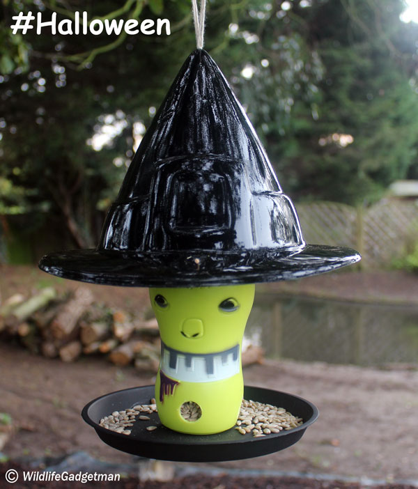 Halloween-Witches-Hat-Feeder-010-600.jpg