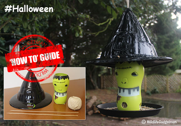 Halloween-Witches-Hat-Feeder-Banner.jpg