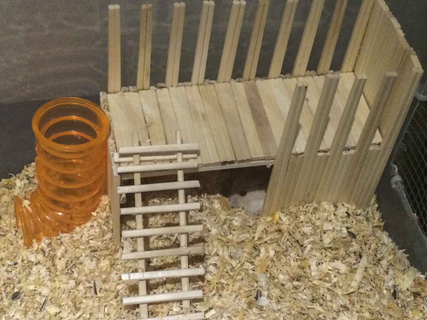 Hamster_House2.jpg