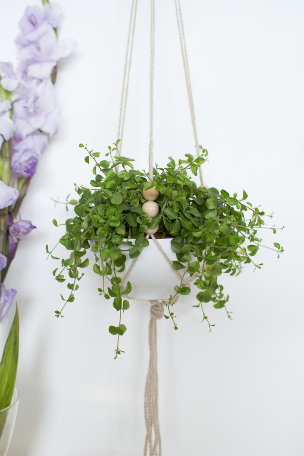 Hanging-ceramic-planter-19.jpg