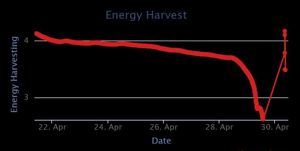 Harvest_April_9 days.jpg