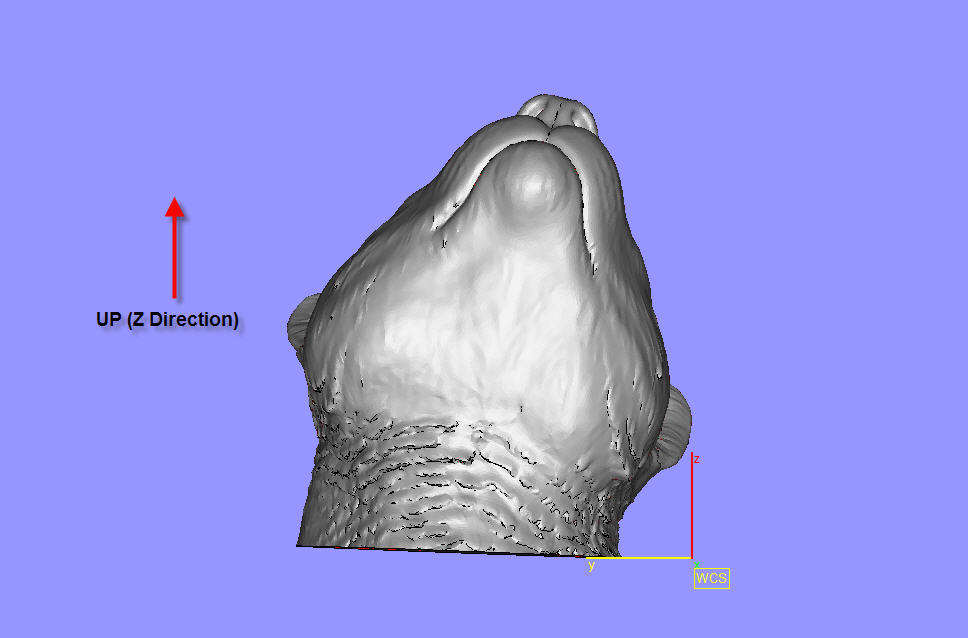 Head Build Direction-2.jpg