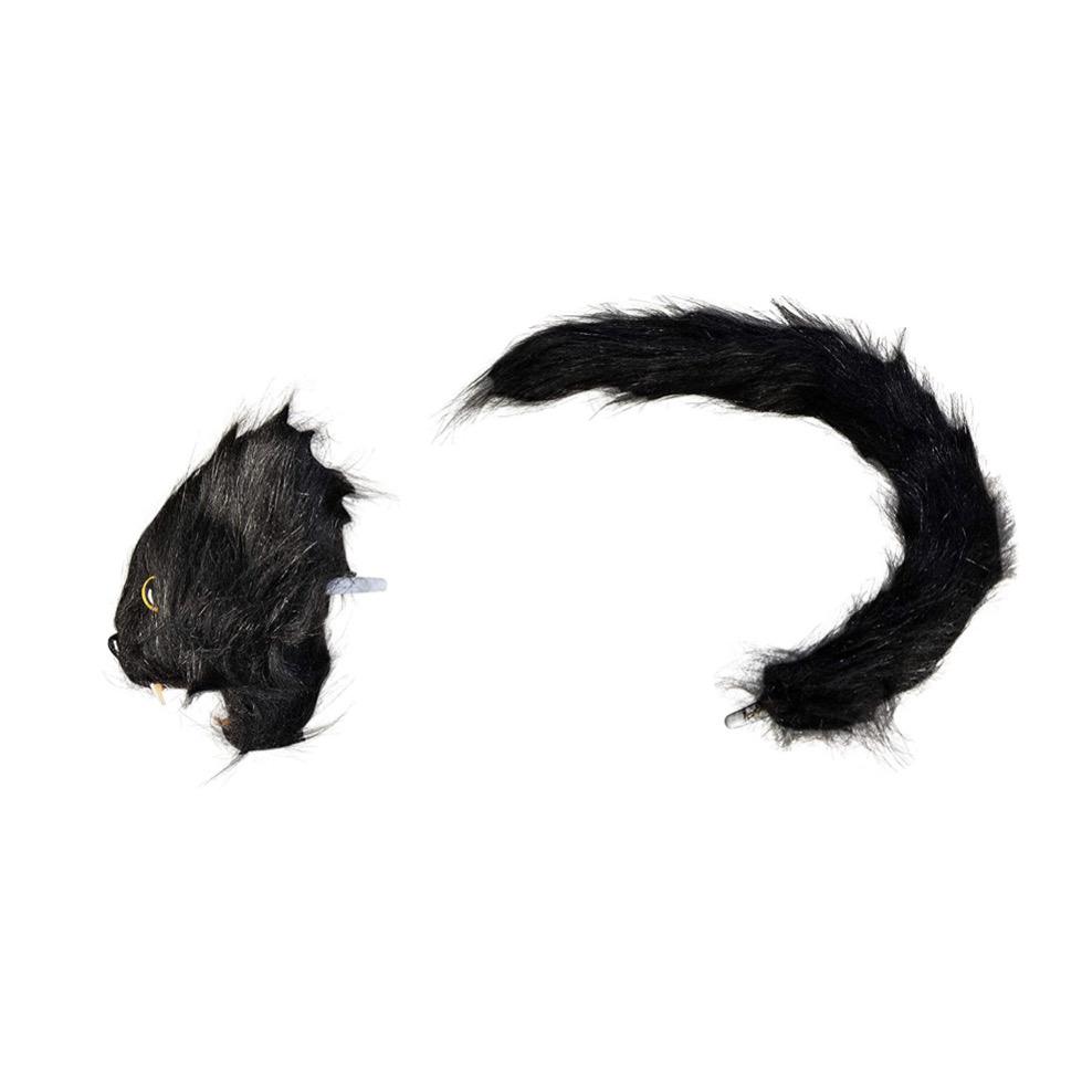 Head and tail (cat).jpg