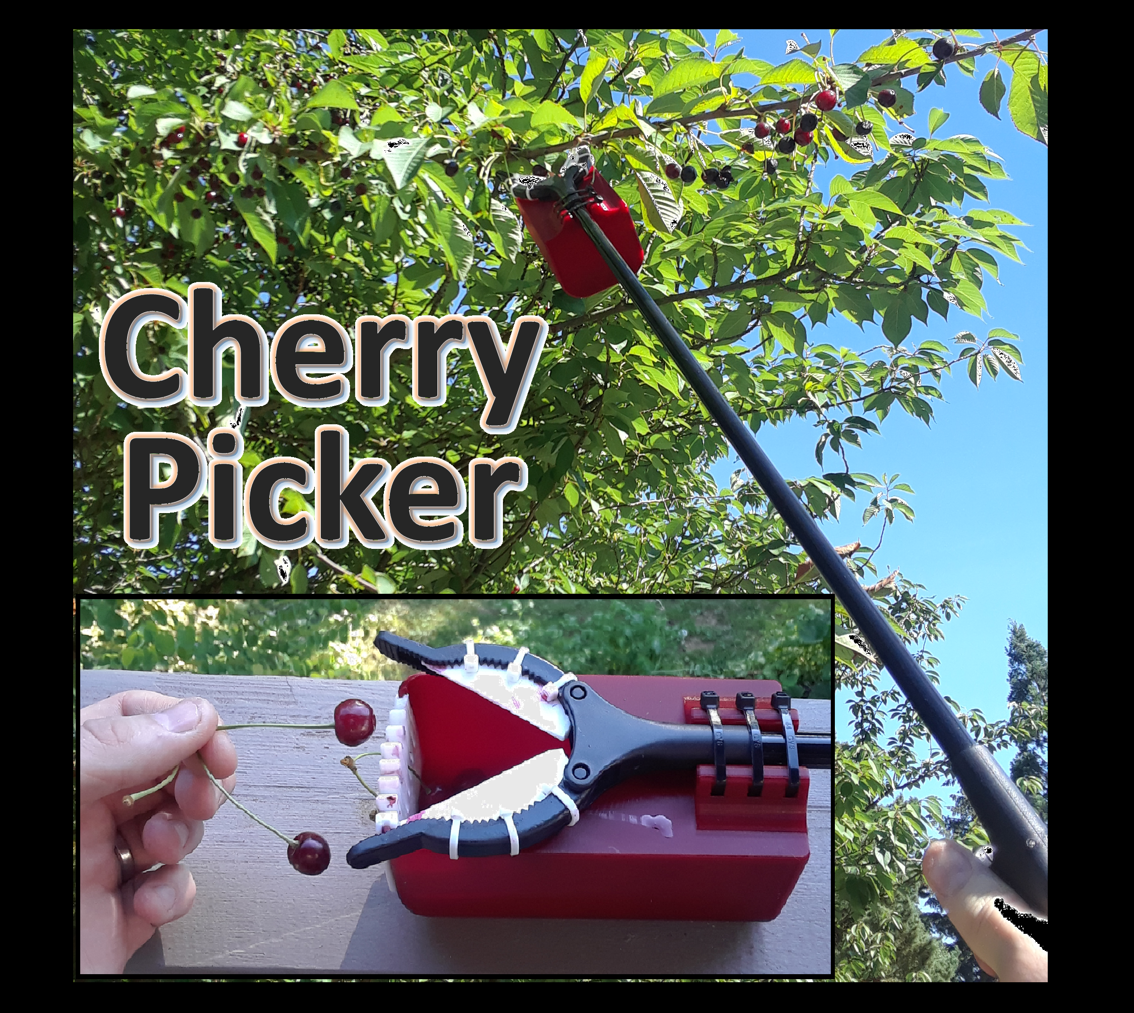 Header_Cherry_Picker.png