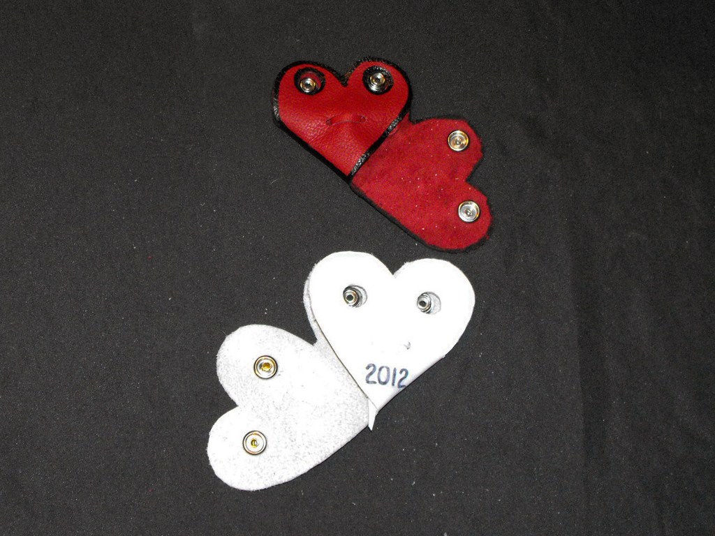 Heart Ring Case (12) [1024x768].JPG