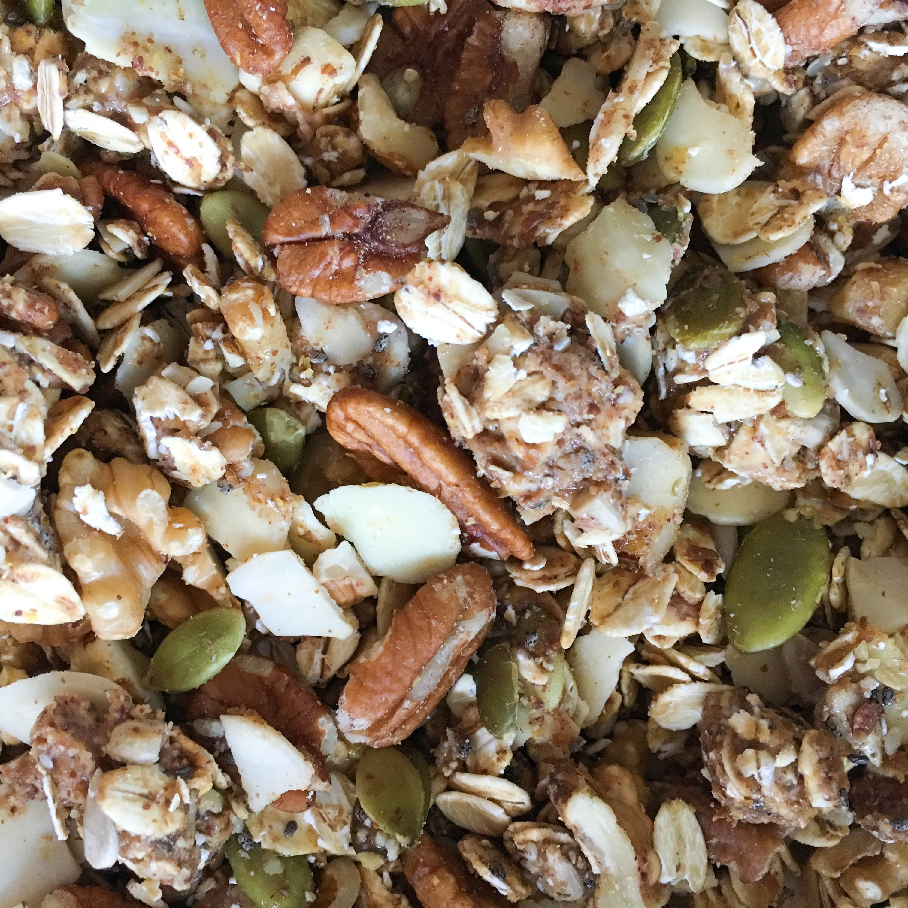 Hearty-Granola-5.jpg