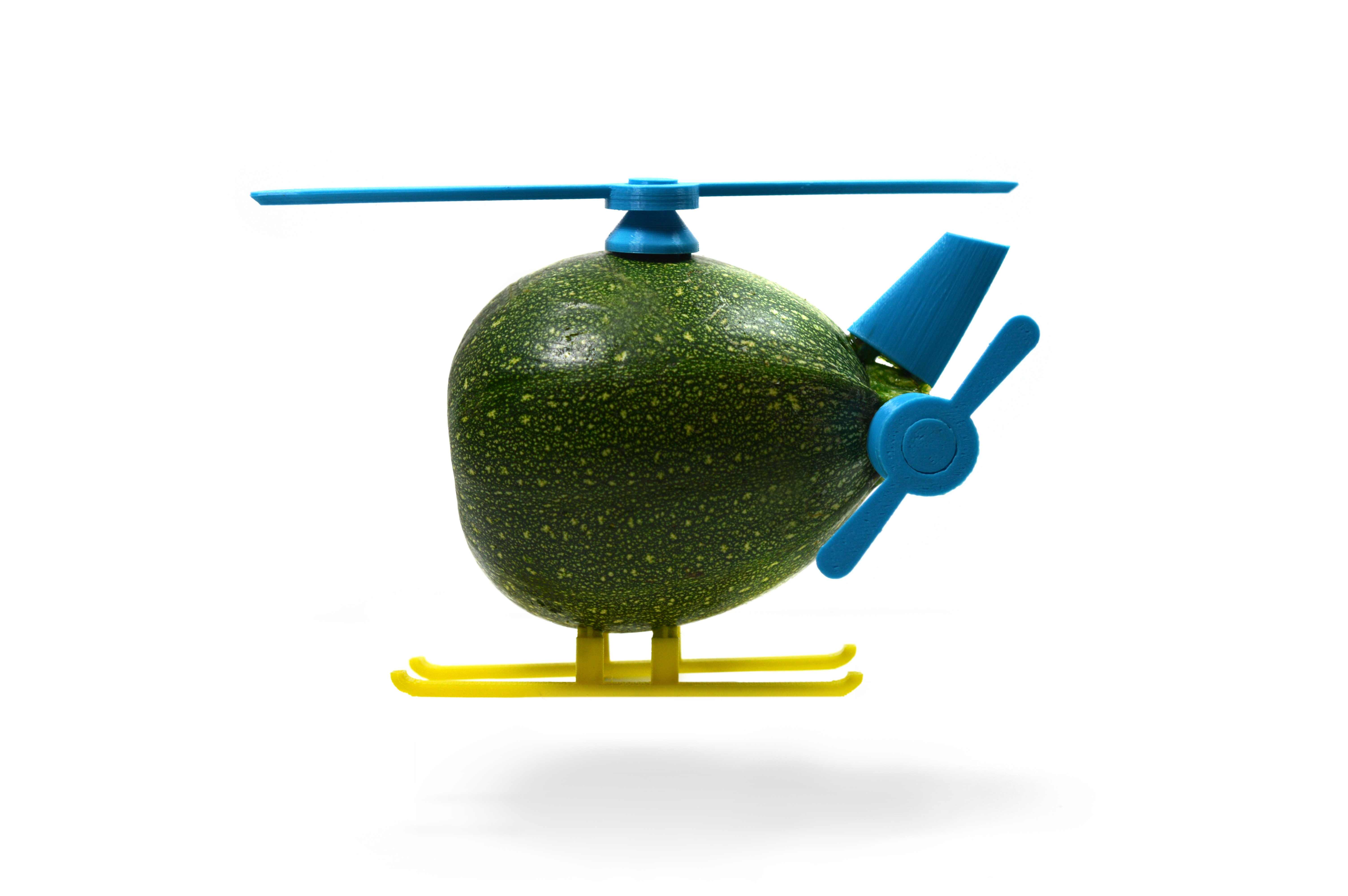 Helico courge.jpg