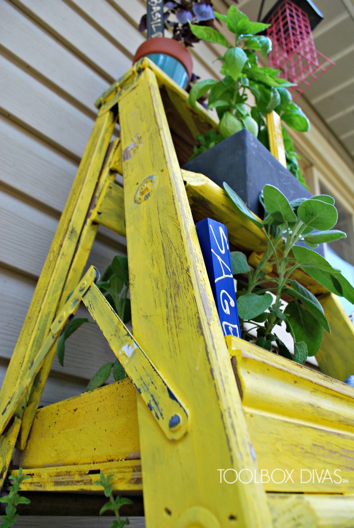 Herb Ladder Garden view from bottom.jpg