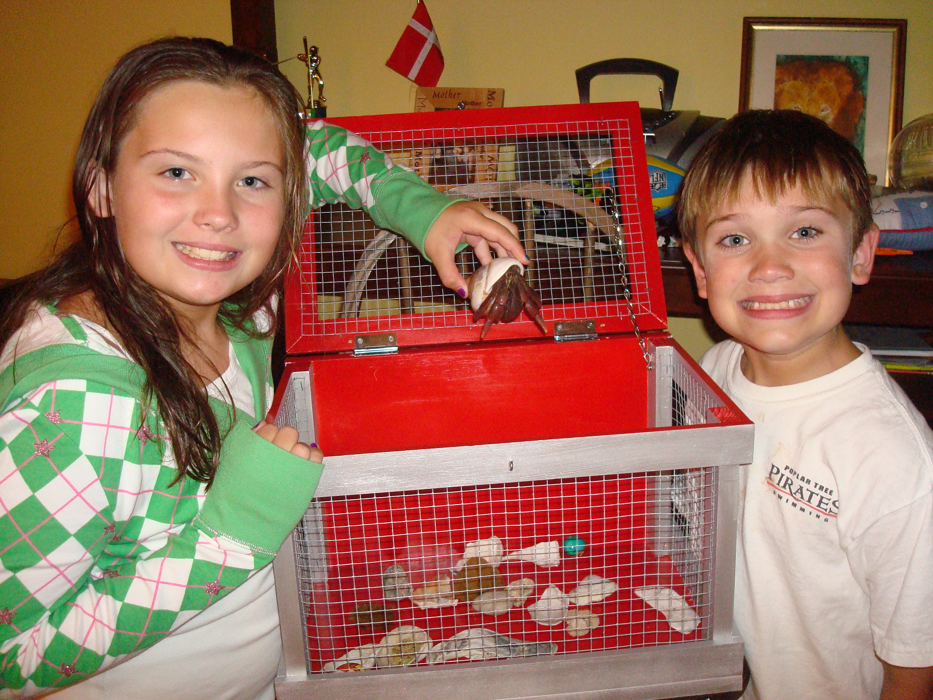 Hermit Crab Cage 023.jpg