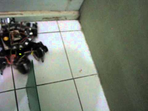 Hexapod Avoider in Labyrinth