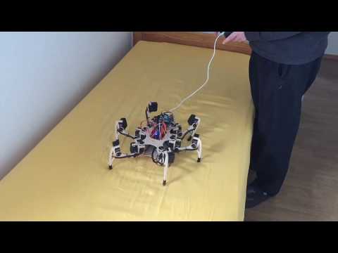 Hexapod Phoenix Code