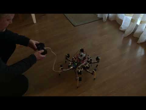 Hexapod first IK test