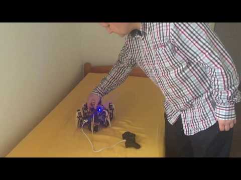 Hexapod gait demo