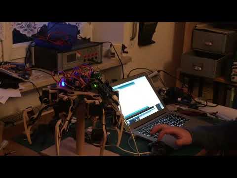 Hexapod simple sequences test