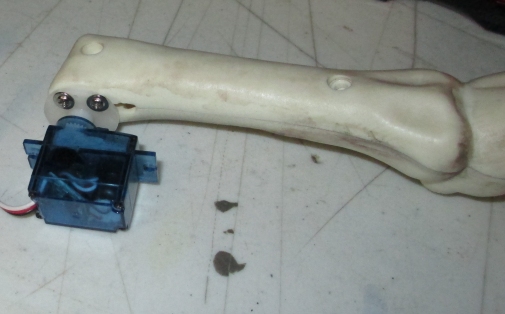 Hind Leg with Servo.jpg